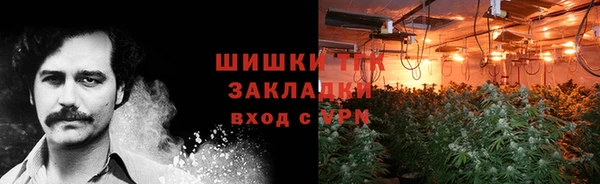 крисы Володарск