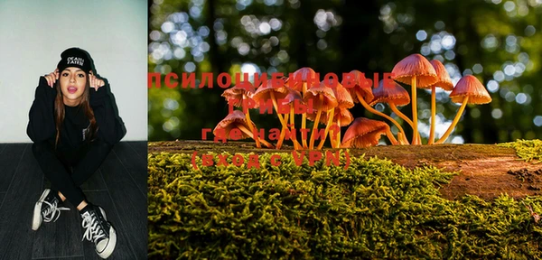 таблы Горнозаводск