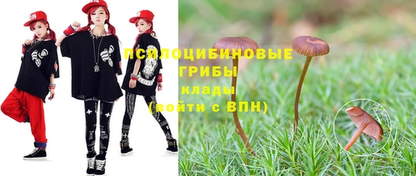 мдпв Горняк