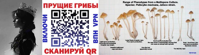 Галлюциногенные грибы мухоморы  закладка  Избербаш 